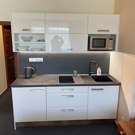 Apartmany Wellness Frymburk Eksteriør bilde