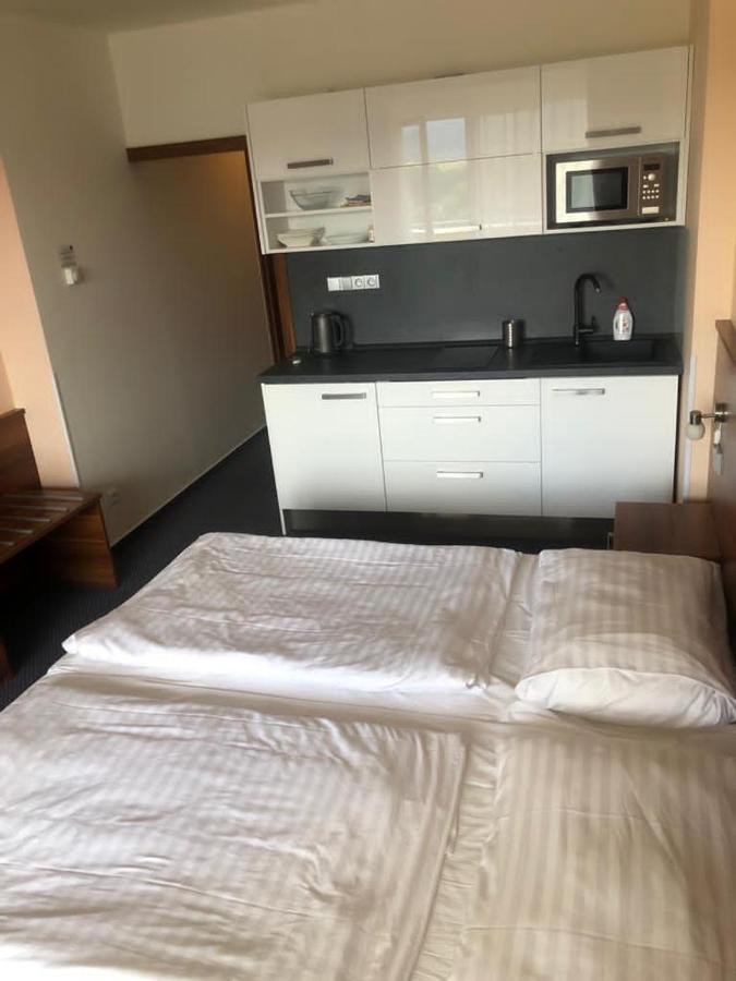 Apartmany Wellness Frymburk Eksteriør bilde